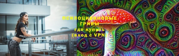 не бодяженный Осташков