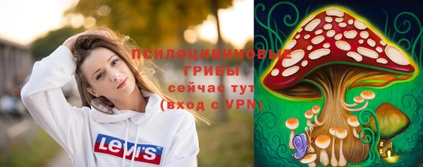 не бодяженный Осташков