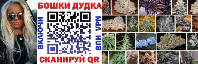 Каннабис ГИДРОПОН  мега ссылка  Курильск 